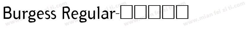 Burgess Regular字体转换